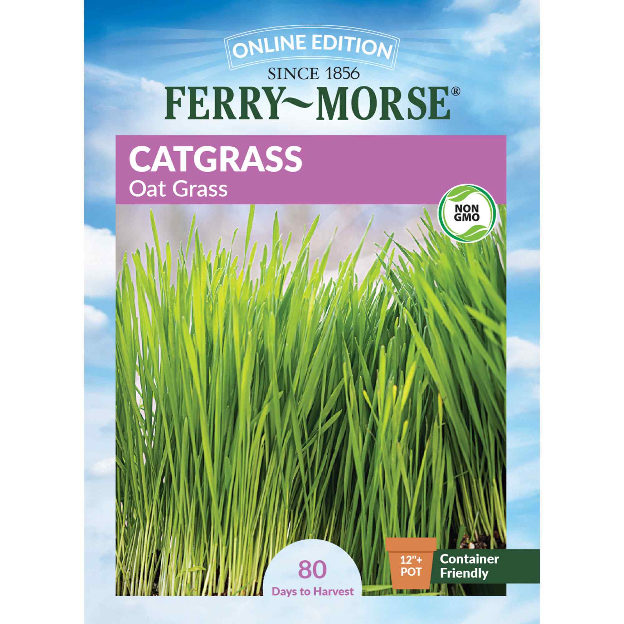 Ferry-Morse catgrass seed packet